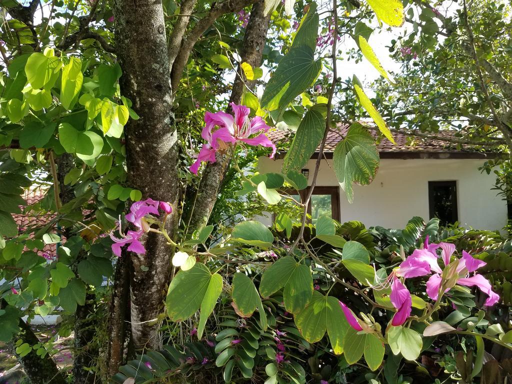 Holiday Home At Rio Mar Río Grande Eksteriør billede